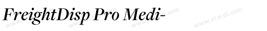 FreightDisp Pro Medi字体转换